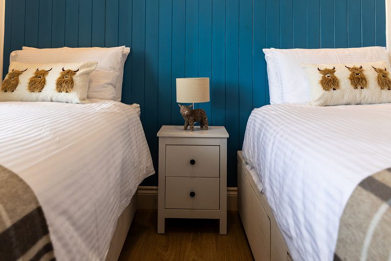 Two comfortable looking beds with highland cow cushions, with a bedside cabinet and lamp in between