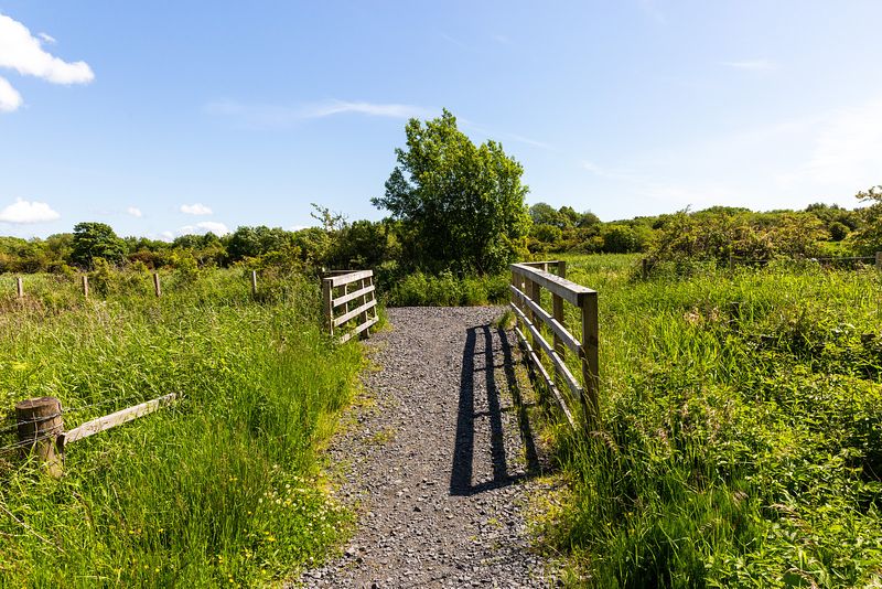 A gravel path leads through a natural scene. The wooden fences at the edge of the path cast a soft shadow in the sunshine.